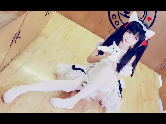 【雨乃】猫☆猫★show time 真猫片儿~